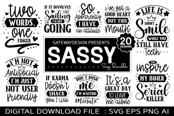 Sassy Svg Bundle: A Designer's Real-World Review